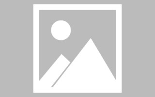 柳州绥化网站搭建公司有哪些（信息网绥化）